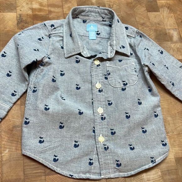 Baby Gap Boy’s Button Down Shirt - Picture 1 of 5